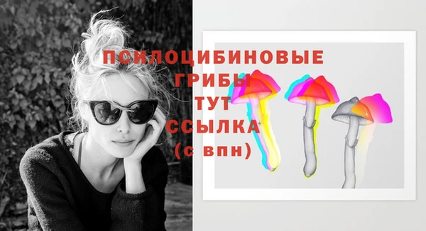 спайс Алексин