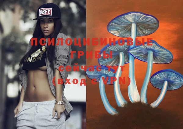 дмт Алзамай